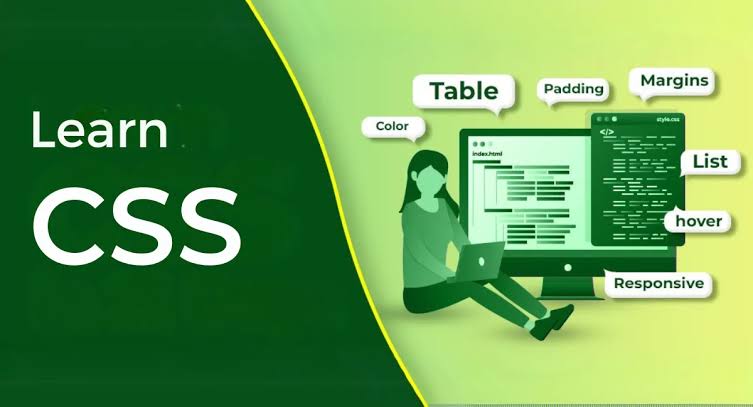 Css Basic Course